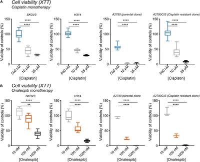 Overcoming Limitations of Cisplatin Therapy by Additional Treatment With the HSP90 Inhibitor Onalespib